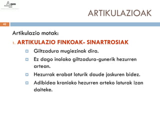 ARTIKULAZIOAK
42


     Artikulazio motak:
     1. ARTIKULAZIO FINKOAK- SINARTROSIAK

           Giltzadura mugiezinak dira.
           Ez dago inolako giltzadura-gunerik hezurren
            artean.
           Hezurrak erabat loturik daude joskuren bidez.
           Adibidea kranioko hezurren arteko loturak izan
            daiteke.
 