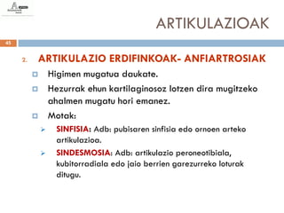 ARTIKULAZIOAK
45


     2.   ARTIKULAZIO ERDIFINKOAK- ANFIARTROSIAK
                 Higimen mugatua daukate.
                 Hezurrak ehun kartilaginosoz lotzen dira mugitzeko
                  ahalmen mugatu hori emanez.
                 Motak:
                   SINFISIA: Adb: pubisaren sinfisia edo ornoen arteko
                    artikulazioa.
                   SINDESMOSIA: Adb: artikulazio peroneotibiala,
                    kubitorradiala edo jaio berrien garezurreko loturak
                    ditugu.
 