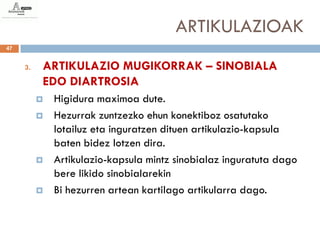 ARTIKULAZIOAK
47


     3.   ARTIKULAZIO MUGIKORRAK – SINOBIALA
          EDO DIARTROSIA
             Higidura maximoa dute.
             Hezurrak zuntzezko ehun konektiboz osatutako
              lotailuz eta inguratzen dituen artikulazio-kapsula
              baten bidez lotzen dira.
             Artikulazio-kapsula mintz sinobialaz inguratuta dago
              bere likido sinobialarekin
             Bi hezurren artean kartilago artikularra dago.
 