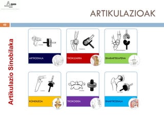 ARTIKULAZIOAK
49
     Artikulazio Sinobilaka




                              ARTRODIALA   TROKLEARRA      EKARARTEKAPENA




                              KONDILEOA    TROKOIDEA       ENARTRODIALA
 