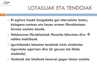 LOTAILUAK ETA TENDOIAK
51


        Bi egitura hauek bizigabeko gai interzelular batez,
         kolageno-zuntzez eta hauen artean fibroblastoen
         lerroez osatuta daude.
        Helduaroan fibroblastoak fibrozito bihurtzen dira 
         nahiko inaktiboak
        Igurtziketako lekuetan tendoiak mintz sinobialez
         inguratuta agertzen dira (bi geruza eta likido
         sinobiala)
        Tendoiak eta lotailuak hezurrei gogor lotzen zaizkie.
 