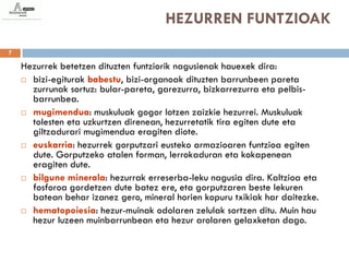 HEZURREN FUNTZIOAK
7

    Hezurrek betetzen dituzten funtziorik nagusienak hauexek dira:
     bizi-egiturak babestu, bizi-organoak dituzten barrunbeen pareta
      zurrunak sortuz: bular-pareta, garezurra, bizkarrezurra eta pelbis-
      barrunbea.
     mugimendua: muskuluak gogor lotzen zaizkie hezurrei. Muskuluak
      tolesten eta uzkurtzen direnean, hezurretatik tira egiten dute eta
      giltzadurari mugimendua eragiten diote.
     euskarria: hezurrek gorputzari eusteko armazioaren funtzioa egiten
      dute. Gorputzeko atalen forman, lerrokaduran eta kokapenean
      eragiten dute.
     bilgune minerala: hezurrak erreserba-leku nagusia dira. Kaltzioa eta
      fosforoa gordetzen dute batez ere, eta gorputzaren beste lekuren
      batean behar izanez gero, mineral horien kopuru txikiak har daitezke.
     hematopoiesia: hezur-muinak odolaren zelulak sortzen ditu. Muin hau
      hezur luzeen muinbarrunbean eta hezur arolaren gelaxketan dago.
 