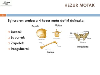 HEZUR MOTAK
8


    Egituraren arabera 4 hezur mota defini daitezke:
                     Zapala           Motza

     Luzeak
     Laburrak

     Zapalak
                                                  Irregularra
     Irregularrak
                              Luzea
 