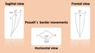 Sagittal view Frontal view
Horizontal view
Posselt`s border movements
 