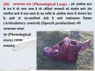 (iii) ध्वन्यात्म पाि (Phonological Loop) – इसे आिंतरर ान
े रूप में भी जाना जाता है जो ऑकडयो जान ारी ो सिंग्रहीत रने और
सिंसाकित रने में मदद रता है। यह व्यकि े आिंतरर सिंवाद में योगदान देता
है। इसमें दो उप-प्रणाकलयाुँ होती हैं यानी स्पिोच्चचारण कनयिंत्रण
(Articulatory control) (Speech production) और
ध्वन्यात्म भण्डार
गृह (Phonological
store) (भाषण
प्रत्यक्षण)।
 