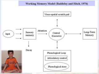 लघुकालिक स्मृति (short term memory)