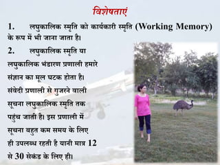 सवशेषिाएं
1. लघु ाकल स्मृकत ो ायज ारी स्मृकत (Working Memory)
े रूप में भी जाना जाता है।
2. लघु ाकल स्मृकत या
लघु ाकल भिंडारण प्रणाली हमारे
सिंज्ञान ा मूल घट होता है।
सिंवेदी प्रणाली से गुजरने वाली
सूचना लघु ाकल स्मृकत त
पहुिंच जाती है। इस प्रणाली में
सूचना बहुत म समय े कलए
ही उपलब्ि रहती है यानी मात्र 12
से 30 से िं ड े कलए ही।
 