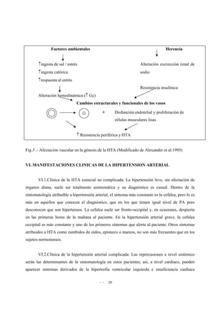 - - 20
Factores ambientales Herencia
↑ingesta de sal / estrés Alteración excrección renal de
↑ingesta calórica sodio
↑respuesta al estrés
Resistencia insulínica
Alteración hemodinámica (↑ Gc)
Cambios estructurales y funcionales de los vasos
+ Disfunción endotelial y proliferación de
células musculares lisas
↑ Resistencia periférica y HTA
Fig.3 .- Afectación vascular en la génesis de la HTA (Modificado de Alexander et al.1995)
VI. MANIFESTACIONES CLINICAS DE LA HIPERTENSION ARTERIAL
VI.1.Clínica de la HTA esencial no complicada: La hipertensión leve, sin afectación de
órganos diana, suele ser totalmente asintomática y su diagnóstico es casual. Dentro de la
sintomatología atribuible a hipertensión arterial, el síntoma más constante es la cefalea, pero lo es
más en aquellos que conocen el diagnóstico, que en los que tienen igual nivel de PA pero
desconocen que son hipertensos. La cefalea suele ser fronto-occipital y, en ocasiones, despierta
en las primeras horas de la mañana al paciente. En la hipertensión arterial grave, la cefalea
occipital es más constante y uno de los primeros síntomas que alerta al paciente. Otros síntomas
atribuidos a HTA como zumbidos de oídos, epístaxis o mareos, no son más frecuentes que en los
sujetos normotensos.
VI.2.Clínica de la hipertensión arterial complicada: Las repercusiones a nivel sistémico
serán las determinantes de la sintomatología en estos pacientes; así, a nivel cardiaco, pueden
aparecer síntomas derivados de la hipertrofia ventricular izquierda e insuficiencia cardiaca
 
