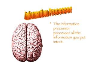 The information processor  processes all the information you put into it. Information Processor 