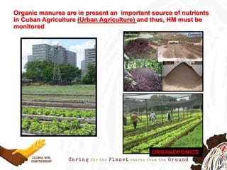 Organic manures are in present an important source of nutrients
in Cuban Agriculture (Urban Agriculture) and thus, HM must be
monitored
ORGANOPONICS
 