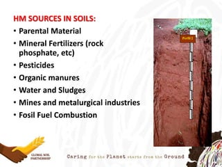 HM SOURCES IN SOILS:
• Parental Material
• Mineral Fertilizers (rock
phosphate, etc)
• Pesticides
• Organic manures
• Water and Sludges
• Mines and metalurgical industries
• Fosil Fuel Combustion
Perfil 2
 