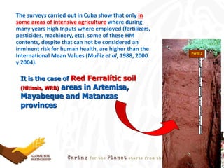 The surveys carried out in Cuba show that only in
some areas of intensive agriculture where during
many years High Inputs where employed (fertilizers,
pesticides, machinery, etc), some of these HM
contents, despite that can not be considered an
inminent risk for human health, are higher than the
International Mean Values (Muñiz et al, 1988, 2000
y 2004).
It is the case of Red Ferralític soil
(Nitisols, WRB) areas in Artemisa,
Mayabeque and Matanzas
provinces
Perfil 2
 
