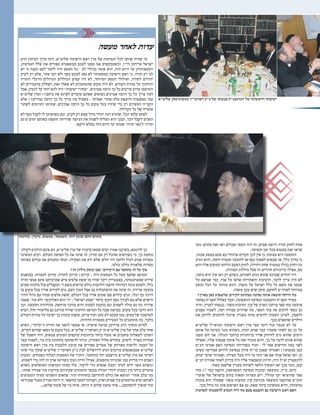 ‫כמו‬ ,‫בחוש‬ ‫זאת‬ ‫ראו‬ ‫שכולם‬ ‫המסר‬ ‫היה‬ ‫זה‬ ,‫שמים‬ ‫ויראת‬ ‫תורה‬ ‫לחזק‬ ‫אחת‬
.‫הנסיעה‬ ‫זמן‬ ‫בכל‬ ‫במטוס‬ ‫זאת‬ ‫שראו‬
,‫שכזה‬ ‫במסע‬ ‫סתם‬ ‫בא‬ ‫שיהודי‬ ‫תקדים‬ ‫לכך‬ ‫אין‬ ‫כי‬ ,‫עצומה‬ ‫היא‬ ‫התופעה‬
‫הגיע‬ ‫והוא‬ ,‫דומה‬ ‫ומטרה‬ ‫לחתונה‬ ‫או‬ ‫כסף‬ ‫לאסוף‬ ‫שבאים‬ ‫או‬ ,‫כלל‬ ‫בדרך‬ ‫כי‬
‫הוא‬ ‫אליו‬ ‫במקום‬ ‫הרוחני‬ ‫המצב‬ ‫לחזק‬ ,‫ויחידה‬ ‫אחת‬ ‫במטרה‬ ‫בגילו‬ ‫רחוק‬ ‫כה‬
.‫ונצורות‬ ‫גדולות‬ ‫פעל‬ ‫זה‬ ‫חרדיים‬ ‫בריכוזים‬ ‫אפילו‬ ,‫בא‬
,‫נראה‬ ‫הוא‬ ‫איך‬ ‫ראו‬ ‫רק‬ ‫כשהם‬ ,‫לאזורם‬ ‫הגיע‬ ‫שהוא‬ ‫שברגע‬ ‫יהודים‬ ‫היו‬
‫על‬ ‫שנושא‬ ‫כמי‬ ,‫פניו‬ ‫על‬ ‫שראו‬ ‫והאחריות‬ ‫הרצינות‬ ,‫לדבר‬ ‫צריך‬ ‫היה‬ ‫לא‬
‫ונוסע‬ ‫הכל‬ ‫על‬ ‫מוותר‬ ‫והוא‬ ,‫כתפיו‬ ‫על‬ ‫ישראל‬ ‫כלל‬ ‫כל‬ ‫משא‬ ‫את‬ ‫שכמו‬
.‫משהו‬ ‫בכך‬ ‫שיש‬ ‫סימן‬ ,‫לחזקם‬ ‫לארה"ב‬ ‫במיוחד‬
?‫בארץ‬ ‫כאן‬ ‫שהשפיע‬ ‫הקירוב‬ ‫מבחינת‬ ‫נסיעה‬ ‫אותה‬ ‫תוצאת‬ ‫הייתה‬ ‫מה‬
‫נפתחו‬ ‫תשנ"ח‬ ‫באלול‬ ‫וכבר‬ ,‫הראשונה‬ ‫הנסיעה‬ ‫התבצעה‬ ‫תשנ"ח‬ ‫באייר‬
‫והיה‬ ,‫לעניין‬ ‫נכנסתי‬ .'‫משה‬ ‫'נתיבות‬ ‫קרן‬ ‫של‬ ‫הארץ‬ ‫ברחבי‬ ‫ספר‬ ‫בתי‬ ‫ארבעה‬
‫מבנים‬ ‫לשכור‬ ,‫רבה‬ ‫עבודה‬ ‫שדורש‬ ‫מה‬ ,‫הספר‬ ‫בתי‬ ‫את‬ ‫להקים‬ ‫כספי‬ ‫גב‬
‫את‬ ‫ולרתק‬ ‫להחכים‬ ‫שיוכל‬ ‫מעניין‬ ‫צוות‬ ‫ולהביא‬ ‫הסעות‬ ‫לארגן‬ ,‫ולשפץ‬
.‫בכך‬ ‫שחפצים‬ ‫הילדים‬
‫שליט"א‬ ‫הגראי"ל‬ ‫הישיבה‬ ‫ראש‬ ‫מרן‬ ‫עמי‬ ‫דיבר‬ ‫עוד‬ ‫מכבר‬ ‫לא‬ ‫עד‬
‫אותם‬ ‫על‬ ‫בערגה‬ ‫נזכר‬ ‫כשהוא‬ ,‫רבות‬ ‫שנים‬ ‫כבר‬ ‫שעברו‬ ‫לאחר‬ ‫גם‬ ‫כך‬ ‫על‬
‫ממנו‬ ‫חש‬ ‫אני‬ .‫הגולה‬ ‫ברחבי‬ ‫ברוחניות‬ ‫אדיר‬ ‫לחיזוק‬ ‫גרם‬ ‫שהוא‬ ‫הימים‬
‫ואפילו‬ ,‫אליו‬ ‫שבאתי‬ ‫אימת‬ ‫כל‬ ‫זאת‬ ‫מזכיר‬ ‫והוא‬ ,‫כך‬ ‫על‬ ‫לדבר‬ ‫אוהב‬ ‫שהוא‬
‫יוכ"פ‬ ‫אמרנו‬ ‫האם‬ ‫הנסיעה‬ ‫כשהייתה‬ ‫תגיד‬ - ‫לי‬ ‫אמר‬ ‫חודשים‬ ‫כמה‬ ‫לפני‬
‫עשינו‬ ‫אמריקה‬ ‫לדרום‬ ‫בנסיעה‬ ‫סיוון‬ ‫בר"ח‬ ‫שאכן‬ ‫ואמרתי‬ !?‫במטוס‬ ‫קטן‬
‫יצחק‬ ‫שרבי‬ ‫ואמרתי‬ ,‫תפילה‬ ‫בעל‬ ‫היה‬ ‫מי‬ ‫זוכר‬ ‫אני‬ ‫אם‬ ‫אותי‬ ‫שואל‬ ‫ואז‬ .‫כן‬
‫יוכ"פ‬ ‫אמירת‬ ‫לאחר‬ ‫בדיוק‬ ‫היה‬ ‫אליו‬ ‫וכשבאתי‬ ‫והיות‬ ,‫היה‬ ‫זצ"ל‬ ‫לוינשטיין‬
.‫באתי‬ ‫שלשמו‬ ‫בעניין‬ ‫לשוחח‬ ‫הלאה‬ ‫המשיך‬ ‫ואז‬ ‫בכך‬ ‫נזכר‬ ,‫קטן‬
‫בתי‬ 17 ‫כבר‬ ‫הוקמו‬ ,‫המשותפת‬ ‫הנסיעה‬ ‫ובזכות‬ ‫כתוצאה‬ ,‫ב"ה‬ ,‫כיום‬
‫שומרי‬ ‫של‬ ‫בישראל‬ ‫בתים‬ ‫ומאות‬ ‫עשרות‬ ‫ויש‬ ,‫מזולל‬ ‫יקר‬ ‫שהוציאו‬ ‫ספר‬
‫בזכות‬ ‫הוא‬ ‫שפעלה‬ '‫משה‬ ‫'נתיבות‬ ‫קרן‬ ‫מהרמת‬ ‫כתוצאה‬ ‫שהוקמו‬ ‫תומ"צ‬
.‫בכך‬ ‫גדול‬ ‫כה‬ ‫אינו‬ ‫הפרסום‬ ‫אם‬ ‫גם‬ ,‫שאת‬ ‫ביתר‬ ‫ממשיכה‬ ‫והיא‬ ,‫נסיעותיו‬
‫לנסיעות‬ ‫להסכמתו‬ ‫המניע‬ ‫היה‬ ‫מה‬ ‫פעם‬ ‫התבטא‬ ‫גם‬ ‫הישיבה‬ ‫ראש‬ ‫האם‬
‫מעשה‬ ‫לאחר‬ ‫עדות‬
‫הרב‬ ‫העיתון‬ ‫עורך‬ ‫הינו‬ ,‫שליט"א‬ ‫הישיבה‬ ‫ראש‬ ‫מרן‬ ‫של‬ ‫הנסיעות‬ ‫לכל‬ ‫שותף‬ ‫שהיה‬ ‫מי‬
,‫הנסיעות‬ ‫שלל‬ ‫את‬ ‫ספורים‬ ‫במשפטים‬ ‫לסכם‬ ‫ממנו‬ ‫אנו‬ ‫וכשמבקשים‬ ,‫הי"ו‬ ‫פרידמן‬ ‫ישראל‬
‫יש‬ ‫כי‬ ‫הנצח‬ ‫לעם‬ ‫ללמד‬ ‫היה‬ ‫המסע‬ ‫כל‬ - ‫לב‬ ‫בגילוי‬ ‫אומר‬ ‫הוא‬ ,‫הזה‬ ‫היום‬ ‫עד‬ ‫ותוצאותיהן‬
‫לקרב‬ ‫רק‬ ‫אלא‬ ,‫אחר‬ ‫דבר‬ ‫ולא‬ ‫כסף‬ ‫לבקש‬ ‫נסע‬ ‫לא‬ ‫במסעותיו‬ ‫הישיבה‬ ‫ראש‬ ‫כי‬ ,‫תורה‬ ‫רק‬ ‫לנו‬
‫התורה‬ ‫והיכלי‬ ‫הגדולים‬ ‫הכוללים‬ ‫קמים‬ ‫היו‬ ‫לא‬ ,‫המיוחד‬ ‫המסע‬ ‫ואילולי‬ ,‫לתורה‬ ‫יהודים‬
‫לא‬ ‫מהגבירים‬ ‫ושחלק‬ ,‫זאת‬ ‫שאלו‬ ‫לא‬ ‫שהמחנכים‬ ‫מקום‬ ‫היה‬ ‫לא‬ .‫הקודש‬ ‫טהרת‬ ‫על‬ ‫והחינוך‬
‫אבל‬ ,‫להבין‬ ‫קל‬ ‫יותר‬ ‫להם‬ ‫היה‬ "‫ישיבות‬ ‫"בחורי‬ .‫אברכים‬ ‫הרבה‬ ‫כך‬ ‫כל‬ ‫צריכים‬ ‫מדוע‬ ‫התרעמו‬
‫שליט"א‬ ‫ומרן‬ !?‫ביתם‬ ‫את‬ ‫לפרנס‬ ‫עובדים‬ ‫שאינם‬ ‫נשואים‬ ‫אברכים‬ ‫הרבה‬ ‫כך‬ ‫כל‬ ‫צריך‬ ‫למה‬
‫אלא‬ !?‫גבירים‬ ‫הרבה‬ ‫כך‬ ‫כל‬ ‫צריך‬ ‫מה‬ ‫בשביל‬ - ‫ואמיתי‬ ‫טהור‬ ‫מלב‬ ‫היוצאת‬ ‫בפשטות‬ ‫ענה‬
‫לשינוי‬ ‫ותורמים‬ ‫שתרמו‬ ,‫אברכים‬ ‫הרבה‬ ‫כך‬ ‫כל‬ ‫מקום‬ ‫בכל‬ ‫שיהיו‬ ‫כדי‬ ‫רק‬ ‫העשירם‬ ‫הקב"ה‬
.‫הקהילה‬ ‫כל‬ ‫של‬ ‫אופייה‬
‫לא‬ ‫כסף‬ ‫לקבל‬ ‫לו‬ ‫כשהציעו‬ ‫וגם‬ ,‫לקרב‬ ‫רק‬ ‫שבא‬ ‫גדול‬ ‫יהודי‬ ‫הנה‬ ‫שהגיע‬ ,‫הכל‬ ‫קלטו‬ ‫לפתע‬
‫מ'גם‬ ‫ימים‬ ‫באותם‬ ‫חופפת‬ ‫שהייתה‬ ‫הגישה‬ ‫את‬ ‫לשנות‬ ‫הצליח‬ ‫הוא‬ ‫ובכך‬ ,‫דבר‬ ‫לקבל‬ ‫הסכים‬
.‫היקפו‬ ‫במלא‬ ‫הזה‬ ‫היום‬ ‫עד‬ ‫שנותר‬ '‫תורה‬ ‫ל'נאר‬ '‫תורה‬
'‫לקולג‬ ‫הולכים‬ ‫אינם‬ ‫הם‬ ,‫שליט"א‬ ‫מרן‬ ‫של‬ ‫ביקורו‬ ‫שמאז‬ ‫רבים‬ ‫אמרו‬ ‫בשיקגו‬ ,‫לדוגמא‬ ‫כך‬
‫המשיכו‬ ‫רבים‬ .‫העולם‬ ‫תפיסת‬ ‫כל‬ ‫את‬ ‫שינה‬ ‫זה‬ ,‫תורה‬ ‫עם‬ ‫רק‬ ‫שהכל‬ ‫כשרואים‬ ‫כי‬ ,‫כך‬ ‫מחמת‬
‫באותה‬ ‫בניהם‬ ‫את‬ ‫מחנכים‬ ‫ועתה‬ ,‫תפקידו‬ ‫את‬ ‫ידע‬ ‫שלא‬ ‫חדש‬ ‫דור‬ ‫ולחנך‬ ‫לגדל‬ ‫שנים‬ ‫עשרות‬
.‫כולנו‬ ‫גדלנו‬ ‫שלאורה‬ ‫מסורת‬
?‫זה‬ ‫גיליון‬ ‫עוסק‬ ‫שבו‬ '‫ה'קירוב‬ ‫עם‬ ‫מתחבר‬ ‫זה‬ ‫כל‬ ‫איך‬
‫בבואנוס‬ .‫למצוות‬ ‫קירוב‬ ,‫לתורה‬ ‫קירוב‬ !‫קירוב‬ – ‫היה‬ ‫המסעות‬ ‫כל‬ ‫מעל‬ ‫שחפף‬ ‫המושג‬
‫תורה‬ ‫אנשי‬ ‫אינם‬ ‫שמרביתם‬ ‫איש‬ ‫אלפים‬ ‫ששת‬ ‫בו‬ ‫שהיו‬ ‫ריבר‬ ‫באצטדיון‬ ,‫שבארגנטינה‬ ‫איירס‬
‫שמים‬ ‫מלכות‬ ‫עול‬ ‫ומקבלים‬ '‫ד‬ ‫בשם‬ ‫קוראים‬ ‫כולם‬ ‫הלהבות‬ ‫חוצבי‬ ‫דברותיו‬ ‫נוכח‬ ‫ולפתע‬ ,‫כלל‬
‫בו‬ ‫מקום‬ ‫בכל‬ ‫אדיר‬ ‫לקירוב‬ ‫גרם‬ ,‫העם‬ ‫המון‬ ‫אצל‬ ‫גם‬ ‫ההסתכלות‬ ‫את‬ ‫שינה‬ ‫זה‬ ,‫אדירה‬ ‫בזעקה‬
‫הדור‬ ‫גדול‬ ‫עם‬ ‫עמדו‬ ‫אלפים‬ ‫ששת‬ .‫העולם‬ ‫בכל‬ ‫אדיר‬ ‫שמים‬ ‫שם‬ ‫קידוש‬ ‫וגרם‬ ,‫רגלו‬ ‫כף‬ ‫דרכה‬
‫שאגה‬ .‫עוד‬ ‫ולא‬ "‫האלוקים‬ ‫הוא‬ '‫"ד‬ ,"‫ישראל‬ ‫"שמע‬ ‫ביחד‬ ‫וזעקו‬ ‫כסף‬ ‫לצורך‬ ‫בא‬ ‫שלא‬ ‫הישיש‬
‫וכך‬ .‫ותובעת‬ ‫מהדהדת‬ ,‫מרחפת‬ ‫עודנה‬ ‫והיא‬ ‫לבבות‬ ‫בוקעת‬ ‫וגם‬ ‫לשמים‬ ‫עולה‬ ‫גם‬ ‫כזו‬ ‫אדירה‬
‫הביא‬ ,‫חול‬ ‫מלימודי‬ ‫גם‬ ‫מורכב‬ ‫שהיה‬ ‫החינוכי‬ ‫המושג‬ ‫כל‬ ‫שבה‬ ‫בצרפת‬ ,‫מקום‬ ‫בכל‬ ‫הדבר‬ ‫הוא‬
‫הקודש‬ ‫טהרת‬ ‫על‬ ‫ישיבה‬ ‫כך‬ ‫בזכות‬ ‫שקמה‬ ,‫ערים‬ ‫ועוד‬ ‫בעקס-לע-בען‬ ‫כמו‬ ,‫ממש‬ ‫של‬ ‫למהפכה‬
.‫הדורות‬ ‫במסורת‬ ‫הצעירים‬ ‫כל‬ ‫מתחנכים‬ ‫בה‬ ,‫בלבד‬
‫האיש‬ ,"‫ה"ביחד‬ ‫חווית‬ ‫את‬ ‫לתאר‬ ‫אפשר‬ ‫אי‬ :‫אישית‬ ‫בנימה‬ ‫פרידמן‬ ‫הרב‬ ‫מוסיף‬ ‫לסיום‬
,‫דברים‬ ‫שניהם‬ ‫נשאו‬ ‫בו‬ ‫מקום‬ ‫בכל‬ .‫שליט"א‬ ‫האדמו"ר‬ ‫וכ"ק‬ ‫שליט"א‬ ‫מרן‬ ‫של‬ ‫אחד‬ ‫בלב‬ ‫אחד‬
‫של‬ ‫חשמל‬ ‫היה‬ ,‫צמאים‬ ‫המונים‬ ‫מוקפים‬ ‫ברחובות‬ ‫ביחד‬ ‫צעדו‬ ‫או‬ ‫מחנכים‬ ‫לשאלות‬ ‫השיבו‬
‫בצד‬ ‫לעמוד‬ ,‫גור‬ ‫בית‬ ‫בחתונת‬ ‫להשתתף‬ ‫זכיתי‬ ,‫האחרון‬ ‫אלול‬ ‫בחודש‬ ,‫לימים‬ .‫באויר‬ ‫אחדות‬
‫הישיבה‬ ‫ראש‬ ‫מרן‬ ‫בין‬ ‫הלבבות‬ ‫קרבת‬ ‫את‬ ‫ספורים‬ ‫מטרים‬ ‫של‬ ‫ממרחק‬ ‫ולראות‬ ‫הבמה‬ ‫על‬
‫שיגו‬ ‫כדי‬ ‫שתוך‬ ‫שליט"א‬ ‫האדמו"ר‬ ‫כ"ק‬ ‫לבין‬ ‫לירושלים‬ ‫הגיע‬ ‫מרובים‬ ‫שבמאמצים‬ ‫שליט"א‬
‫הבעות‬ .‫נשכחים‬ ‫הבלתי‬ ‫המסעות‬ ‫את‬ ‫הזכיר‬ ,‫בחתונה‬ ‫יחד‬ ‫ביושבם‬ ‫שליט"א‬ ‫מרן‬ ‫עם‬ ‫ושיחו‬
.‫לשמוע‬ ‫כדי‬ ‫לזה‬ ‫זה‬ ‫אוזן‬ ‫כשהיטו‬ ‫הגוף‬ ‫זווית‬ ‫אפילו‬ ,‫מהמטוס‬ ‫שזכרתי‬ ‫כמו‬ ‫בדיוק‬ ‫היו‬ ‫הפנים‬
‫כשהם‬ ‫המופלאים‬ ‫המראות‬ ‫בעיני‬ ‫עלו‬ ,‫לרקוד‬ ‫כדי‬ ‫אנשים‬ ‫רבבת‬ ‫לעיני‬ ‫ידים‬ ‫נתנו‬ ‫וכשהם‬
,"‫אחת‬ ‫מה"אגודה‬ ‫בורקות‬ ‫שעיניהם‬ ‫ההמונים‬ ‫בכנסי‬ ‫הגולה‬ ‫יהודי‬ ‫רבבות‬ ‫בין‬ ‫ביחד‬ ‫צועדים‬
‫הגעגועים‬ ‫מעיני‬ ‫התפרצו‬ ‫פתאום‬ .‫ההר‬ ‫בתחתית‬ ‫להתייצב‬ ‫כולם‬ ‫את‬ ‫הנושא‬ "‫אחד‬ ‫מה"בלב‬
‫שבוודאי‬ ‫מעגל‬ ‫סגירת‬ ‫היתה‬ ‫זו‬ .‫בחשאי‬ ‫דמעה‬ ‫וקנחתי‬ ,‫וארץ‬ ‫שמים‬ ‫בין‬ ‫מרוממים‬ ‫ימים‬ ‫לאותם‬
...‫שלום‬ ‫סוכת‬ ‫של‬ ‫נוי‬ ‫איזה‬ .‫היתה‬ ‫זו‬ ‫שלום‬ ‫מתנת‬ ‫איזו‬ ...‫להסתובב‬ ‫ימשיך‬ ‫עוד‬
‫שליט"א‬ ‫מנובומינסק‬ ‫האדמו"ר‬ ‫כ"ק‬ ‫של‬ ‫במעונו‬ ‫המועצג"ת‬ ‫של‬ ‫הראשונה‬ ‫ישיבתה‬
‫בחתונה‬ :‫מימין‬ ,‫במטוס‬ :‫משמאל‬ .‫הזה‬ ‫ובזמן‬ ‫ההם‬ ‫בימים‬
 