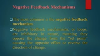 (3) Homeostatic Mechanisms.Anatomy and physiology | PPTX