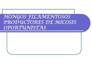 HONGOS FILAMENTOSOS
PRODUCTORES DE MICOSIS
OPORTUNISTAS

 