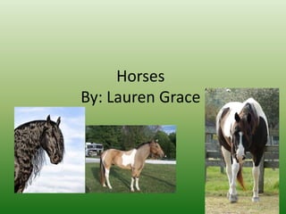 Horses
By: Lauren Grace
 