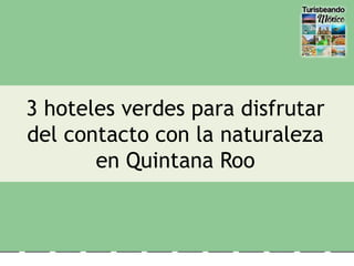 3 hoteles verdes para disfrutar
del contacto con la naturaleza
en Quintana Roo
 