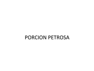 PORCION PETROSA
 