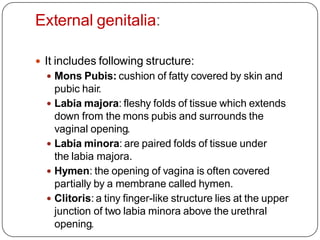 External genitalia:
 It includes following structure:
 Mons Pubis: cushion of fatty covered by skin and
pubic hair.
 Labia majora: fleshy folds of tissue which extends
down from the mons pubis and surrounds the
vaginal opening.
 Labia minora: are paired folds of tissue under
the labia majora.
 Hymen: the opening of vagina is often covered
partially by a membrane called hymen.
 Clitoris: a tiny finger-like structure lies at the upper
junction of two labia minora above the urethral
opening.
 