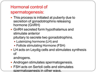 Hormonal control of
spermatogenesis:
 This process is initiated at puberty due to
secretion of gonadotrophins releasing
hormone (GnRH)
 GnRH secreted form hypothalamus and
stimulate anterior
pituitary to secrete two gonadotrophins.
 Luteinizing hormone (LH) and
 Follicle stimulating Hormone (FSH)
 LH acts on Leydig cells and stimulates synthesis
of
androgens.
 Androgen stimulates spermatogenesis.
 FSH acts on Sertoli cells and stimulates
spermatogenesis in other ways.
 
