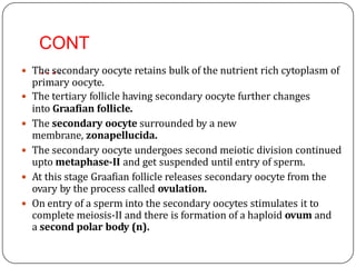 CONT
…. The secondary oocyte retains bulk of the nutrient rich cytoplasm of
primary oocyte.
 The tertiary follicle having secondary oocyte further changes
into Graafian follicle.
 The secondary oocyte surrounded by a new
membrane, zonapellucida.
 The secondary oocyte undergoes second meiotic division continued
upto metaphase-II and get suspended until entry of sperm.
 At this stage Graafian follicle releases secondary oocyte from the
ovary by the process called ovulation.
 On entry of a sperm into the secondary oocytes stimulates it to
complete meiosis-II and there is formation of a haploid ovum and
a second polar body (n).
 
