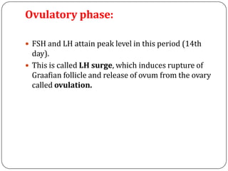 Ovulatory phase:
 FSH and LH attain peak level in this period (14th
day).
 This is called LH surge, which induces rupture of
Graafian follicle and release of ovum from the ovary
called ovulation.
 
