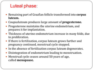 Luteal phase:
 Remaining part of Graafian follicle transformed into corpus
luteum.
 Coupusluteum produces large amount of progesterone.
 Progesterone maintains the uterine endometrium, and
prepares it for implantation.
 Thickness of uterine endometrium increase in many folds, due
to proliferation.
 If there is fertilization, corpus luteum grows further and
pregnancy continued, menstrual cycle stopped.
 In the absence of fertilization corpus luteum degenerates.
 Disintegration of endometrium leading to menstruation.
 Menstrual cycle ceases around 50 years of age,
called menopause.
 