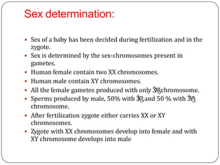Sex determination:
 Sex of a baby has been decided during fertilization and in the
zygote.
 Sex is determined by the sex-chromosomes present in
gametes.
 Human female contain two XX chromosomes.
 Human male contain XY chromosomes.
 All the female gametes produced with only ǮXǯchromosome.
 Sperms produced by male, 50% with ǮXǯand 50 % with ǮYǯ
chromosome.
 After fertilization zygote either carries XX or XY
chromosomes.
 Zygote with XX chromosomes develop into female and with
XY chromosome develops into male
 