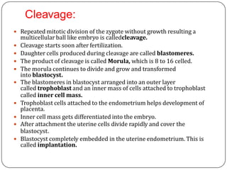 Cleavage:
 Repeated mitotic division of the zygote without growth resulting a
multicellular ball like embryo is calledcleavage.
 Cleavage starts soon after fertilization.
 Daughter cells produced during cleavage are called blastomeres.
 The product of cleavage is called Morula, which is 8 to 16 celled.
 The morula continues to divide and grow and transformed
into blastocyst.
 The blastomeres in blastocyst arranged into an outer layer
called trophoblast and an inner mass of cells attached to trophoblast
called inner cell mass.
 Trophoblast cells attached to the endometrium helps development of
placenta.
 Inner cell mass gets differentiated into the embryo.
 After attachment the uterine cells divide rapidly and cover the
blastocyst.
 Blastocyst completely embedded in the uterine endometrium. This is
called implantation.
 