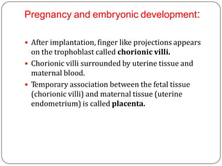 Pregnancy and embryonic development:
 After implantation, finger like projections appears
on the trophoblast called chorionic villi.
 Chorionic villi surrounded by uterine tissue and
maternal blood.
 Temporary association between the fetal tissue
(chorionic villi) and maternal tissue (uterine
endometrium) is called placenta.
 