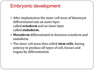 Embryonic development:
 After implantation the inner cell mass of blastocyst
differentiated into an outer layer
called ectoderm and an inner layer
called endoderm.
 Mesoderm differentiated in-between ectoderm and
endoderm.
 The inner cell mass thus called stem cells, having
potency to produce all types of cell, tissues and
organs by differentiation.
 