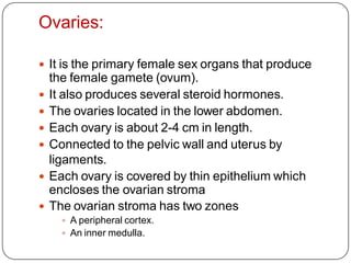 Ovaries:
 It is the primary female sex organs that produce
the female gamete (ovum).
 It also produces several steroid hormones.
 The ovaries located in the lower abdomen.
 Each ovary is about 2-4 cm in length.
 Connected to the pelvic wall and uterus by
ligaments.
 Each ovary is covered by thin epithelium which
encloses the ovarian stroma
 The ovarian stroma has two zones
 A peripheral cortex.
 An inner medulla.
 