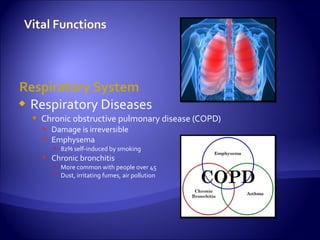 Respiratory System
 Respiratory Diseases
   Chronic obstructive pulmonary disease (COPD)
     Damage is irreversible
     Emphysema
        82% self-induced by smoking
     Chronic bronchitis
        More common with people over 45
        Dust, irritating fumes, air pollution
 