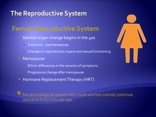 Female Reproductive System
  Genital organ change begins in the 40s
    Transition – perimenopause
    Changes in reproductive organs and sexual functioning
  Menopause
    Ethnic differences in the severity of symptoms
    Progressive change after menopause
  Hormone Replacement Therapy (HRT)


  No physiological reason why most women cannot continue
   sexual activity into old age.
 