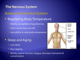Autonomic Nervous System
   Regulating Body Temperature
     Elderly susceptible to hypothermia
     Don’t notice they are cold
     Less ability to raise body temperature


   Sleep and Aging
     Less sleep
     Day napping
     Moody, poorer function, fatigue, decrease motivation &
      concentration
 