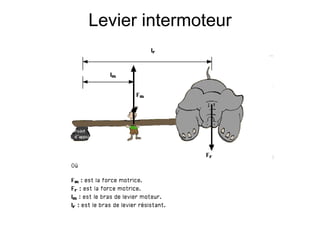 Levier   intermoteur 
