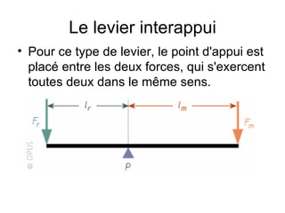 Le levier interappui Pour ce type de levier, le point d'appui est placé entre les deux forces, qui s'exercent toutes deux dans le même sens. 