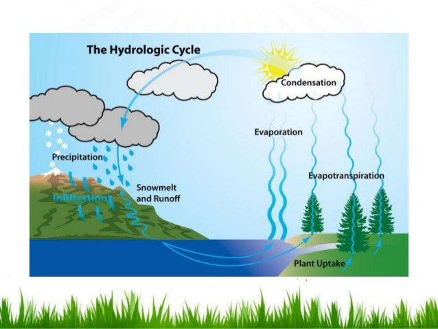 Hydrological Cycle