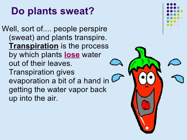 Earth Science. Hydrosphere ppt