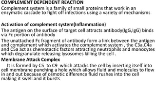 COMPLEMENT DEPENDENT REACTION
Complement system is a family of small proteins that work in an
enzymatic cascade to fight off infections using a variety of mechanisms
Activation of complement system(Inflammation)
The antigen on the surface of target cell attracts antibody(IgG,IgG) binds
via Fc portion of antibody
The unattached Fc fragment of antibody form a link between the antigen
and complement which activates the complement system , the C3a,C4a
and C5a act as chemotactic factors attracting neutrophils and monocytes
which degranulate releasing lysosomes killing the cell .
Membrane Attack Complex
It is formed by C5 to C9 which attacks the cell by inserting itself into
cell membrane punching a hole which allows fluid and molecules to flow
in and out because of osmotic difference fluid rushes into the cell
making it swell and it bursts
 
