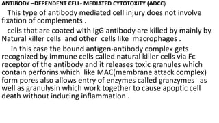ANTIBODY –DEPENDENT CELL- MEDIATED CYTOTOXITY (ADCC)
This type of antibody mediated cell injury does not involve
fixation of complements .
cells that are coated with IgG antibody are killed by mainly by
Natural killer cells and other cells like macrophages .
In this case the bound antigen-antibody complex gets
recognized by immune cells called natural killer cells via Fc
receptor of the antibody and it releases toxic granules which
contain perforins which like MAC(membrane attack complex)
form pores also allows entry of enzymes called granzymes as
well as granulysin which work together to cause apoptic cell
death without inducing inflammation .
 
