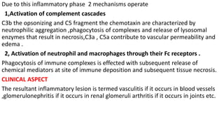 Due to this inflammatory phase 2 mechanisms operate
1,Activation of complement cascades
C3b the opsonizing and C5 fragment the chemotaxin are characterized by
neutrophilic aggregation ,phagocytosis of complexes and release of lysosomal
enzymes that result in necrosis,C3a , C5a contribute to vascular permeability and
edema .
2, Activation of neutrophil and macrophages through their Fc receptors .
Phagocytosis of immune complexes is effected with subsequent release of
chemical mediators at site of immune deposition and subsequent tissue necrosis.
CLINICAL ASPECT
The resultant inflammatory lesion is termed vasculitis if it occurs in blood vessels
,glomerulonephritis if it occurs in renal glomeruli arthritis if it occurs in joints etc.
 