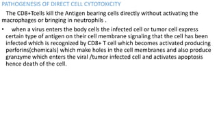 PATHOGENESIS OF DIRECT CELL CYTOTOXICITY
The CD8+Tcells kill the Antigen bearing cells directly without activating the
macrophages or bringing in neutrophils .
• when a virus enters the body cells the infected cell or tumor cell express
certain type of antigen on their cell membrane signaling that the cell has been
infected which is recognized by CD8+ T cell which becomes activated producing
perforins(chemicals) which make holes in the cell membranes and also produce
granzyme which enters the viral /tumor infected cell and activates apoptosis
hence death of the cell.
 