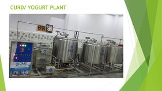 CURD/ YOGURT PLANT
 
