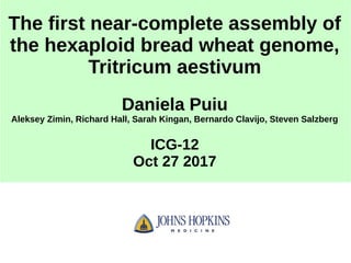 The first near-complete assembly of
the hexaploid bread wheat genome,
Tritricum aestivum
Daniela Puiu
Aleksey Zimin, Richard Hall, Sarah Kingan, Bernardo Clavijo, Steven Salzberg
ICG-12
Oct 27 2017
 