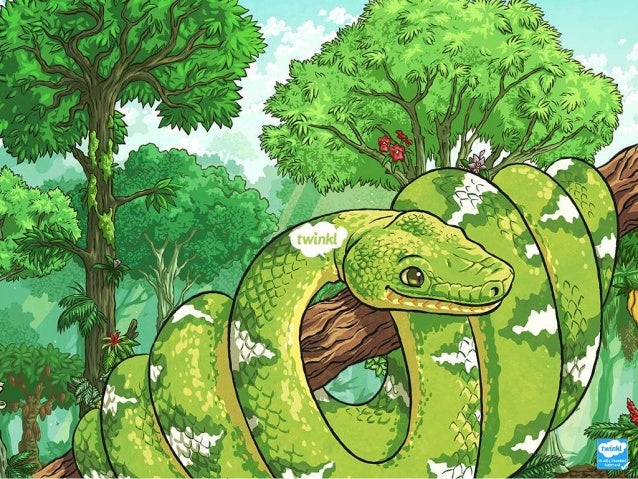 Animal_Fact_File_PowerPoint.pptx