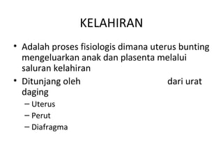 KELAHIRAN 
• Adalah proses fisiologis dimana uterus bunting 
mengeluarkan anak dan plasenta melalui 
saluran kelahiran 
• Ditunjang oleh perejanan yang kuat dari urat 
daging 
– Uterus 
– Perut 
– Diafragma 
 