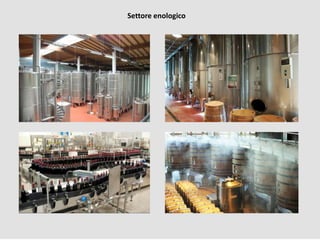 Settore enologico
 