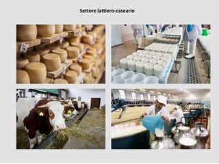 Settore lattiero-caseario
 