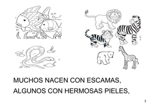 MUCHOS NACEN CON ESCAMAS,
ALGUNOS CON HERMOSAS PIELES,
3
 